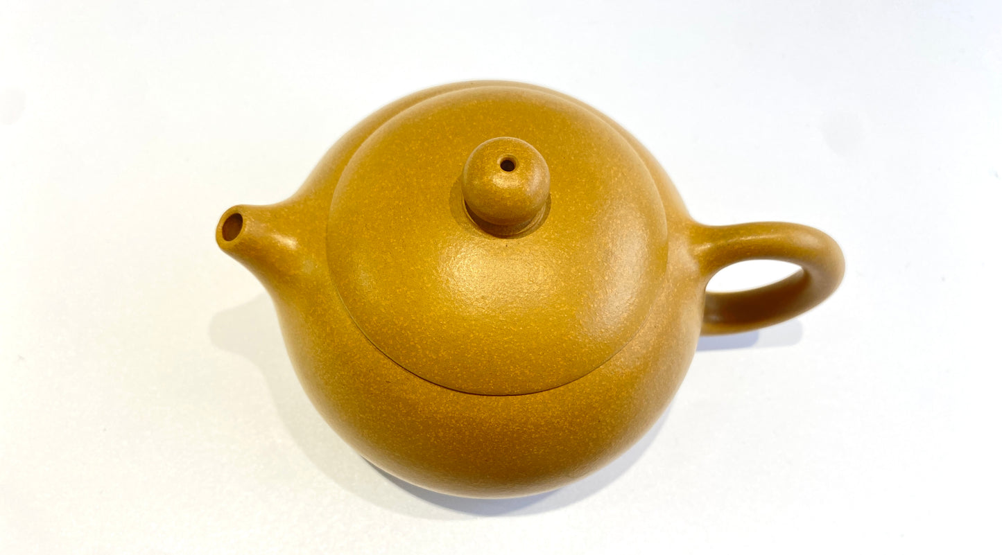 Xishi Teapot（西施壶）